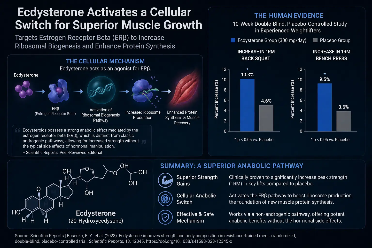 mTOR Pathway Visualization
