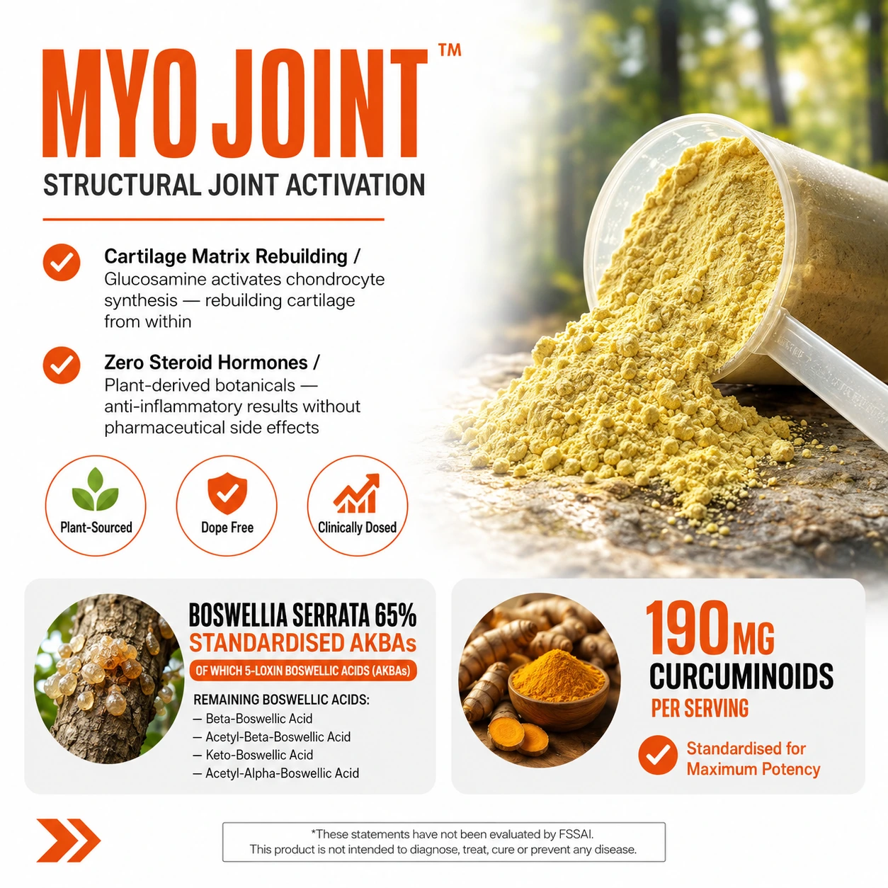 MYO JOINT™ — Advanced Joint Formula - Image 7